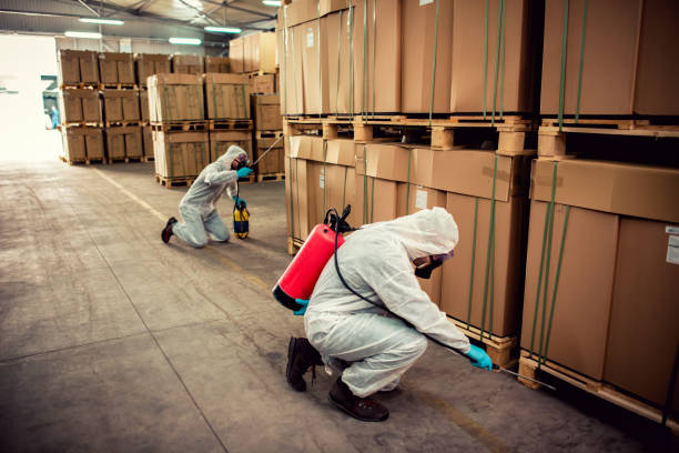 Wasp Removal Services in Lakewood Clu, MI