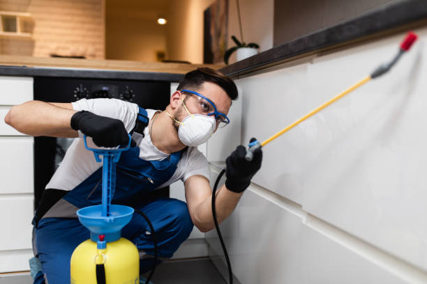 Best Affordable Pest Control Services  in Lakewood Clu, MI