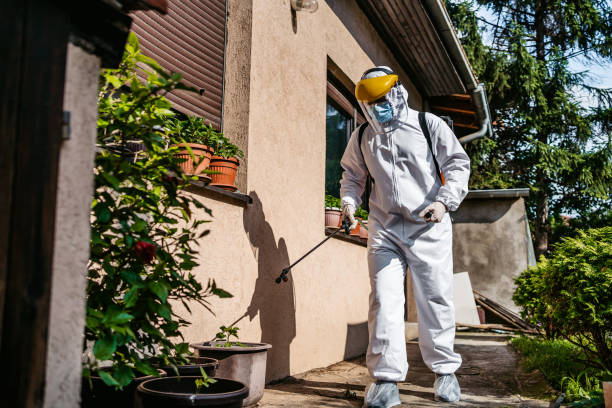 Best Pest Control Treatment  in Lakewood Clu, MI