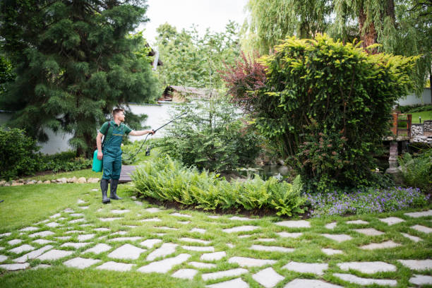Best Pest Inspection Near Me  in Lakewood Clu, MI