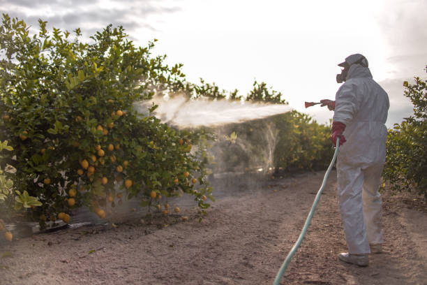 Best Mosquito Control Services  in Lakewood Clu, MI