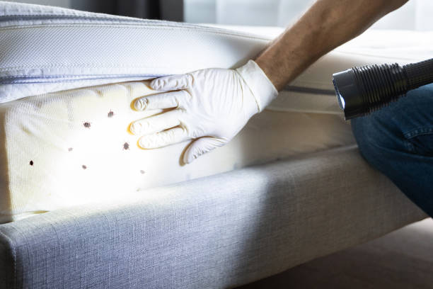 Best Pest Prevention Services  in Lakewood Clu, MI