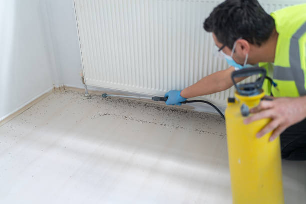 Best Best Pest Control Companies  in Lakewood Clu, MI